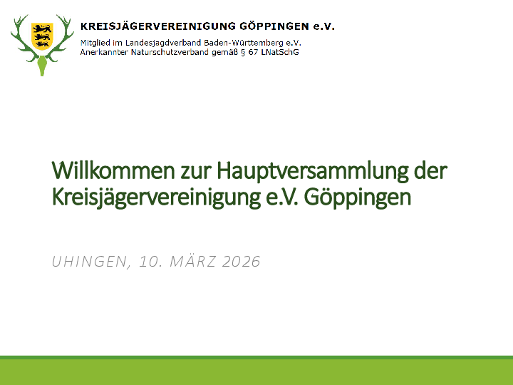 pdf-preview