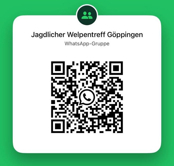 Whatsapp Link